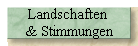 Landschaften 
& Stimmungen